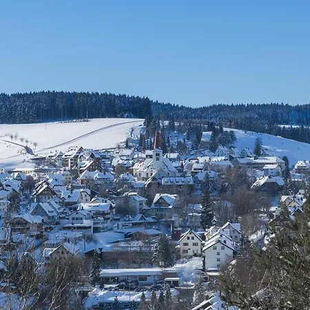 Im Salzgaessle Apartamento Schonach im Schwarzwald