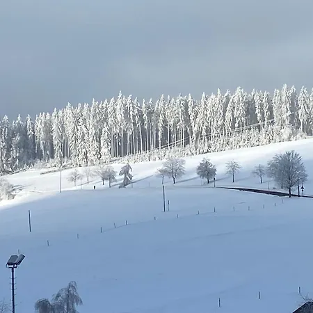 Im Salzgaessle Apartamento *