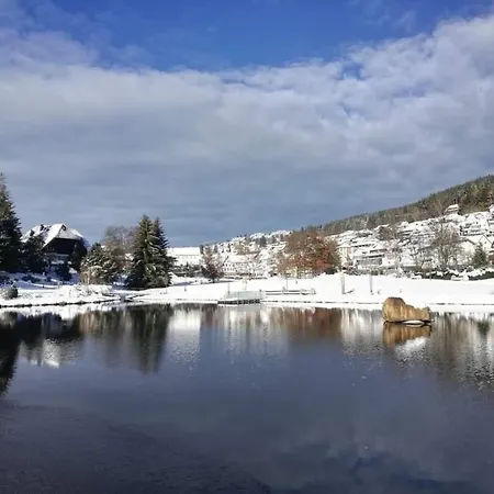 Im Salzgaessle Schonach im Schwarzwald