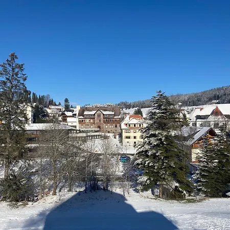 Im Salzgaessle Schonach im Schwarzwald